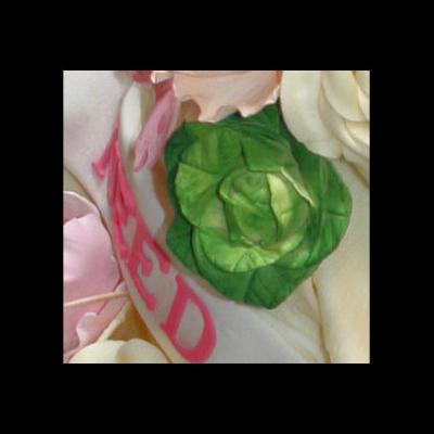Sugarcraft Cabbage