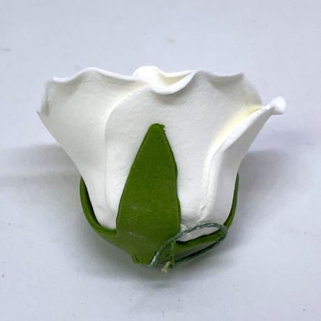 White Sugar Rose
