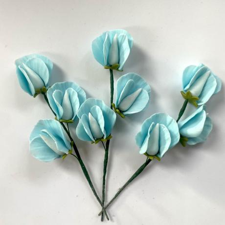 Baby Blue Sugar Sweet Peas
