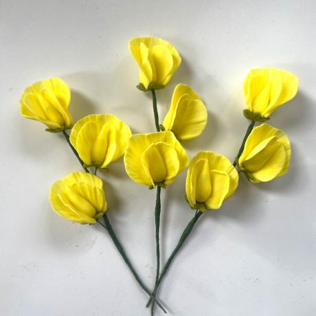 Yellow Sugar Sweet Peas