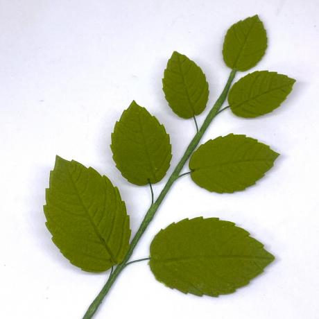 Green Rose Leaf Spray