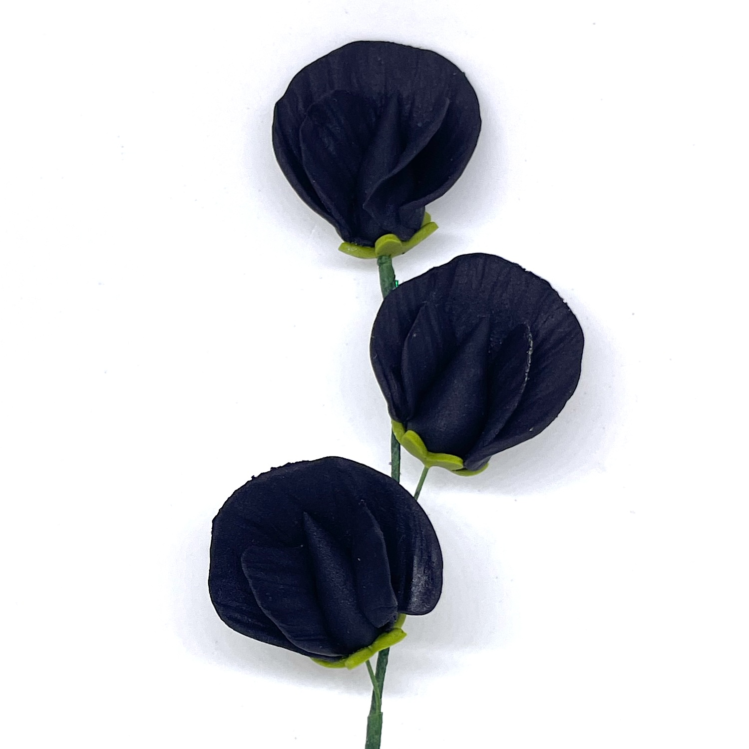 Black Sugar Sweet Pea Spray
