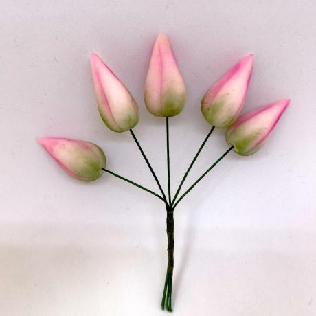 Baby Pink Handmade Buds