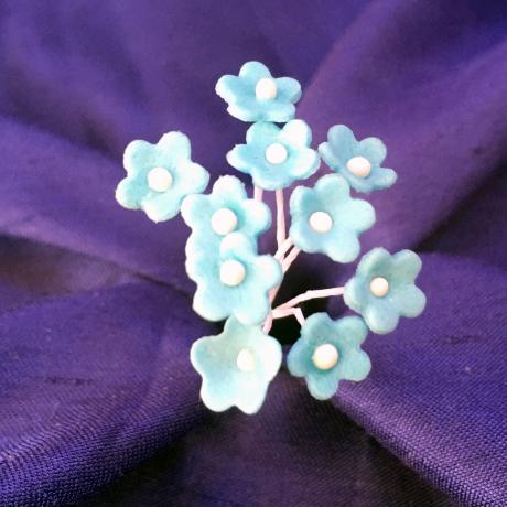 Pale Blue Forget-Me-Nots