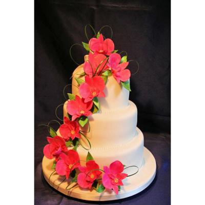 Wedding Cake with Pink Sugar Orchids
