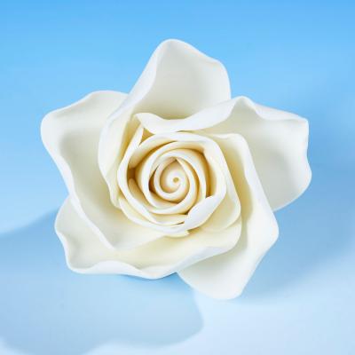White Sugar Rose Head