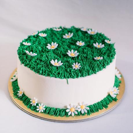 Sugar Grass 