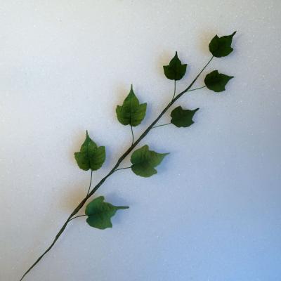 Wired Ivy Leaves