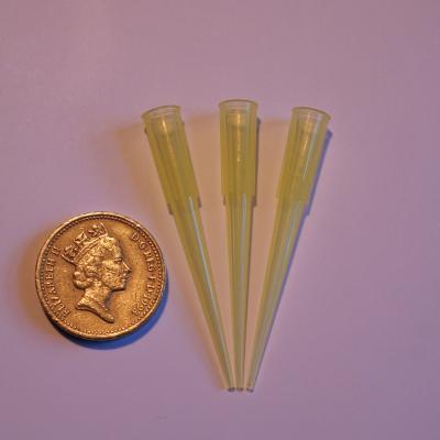 Small Posy Picks